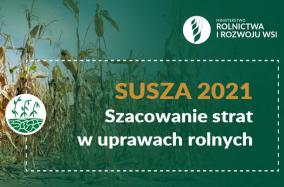 Susza 2021