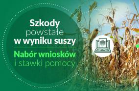 Nabór wniosków suszowych