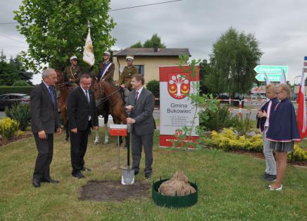 Dąb niepodległości