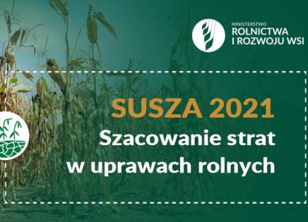 Susza 2021