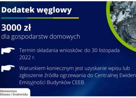 Dodatek węglowy - logo