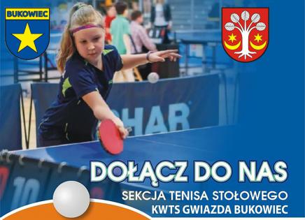 Nabór do sekcji tenisa stołowego - plakat
