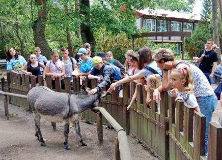 W świetlicach środowiskowych dzieci rozwijają zainteresowania