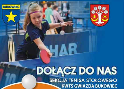 Nabór do sekcji tenisa stołowego - plakat