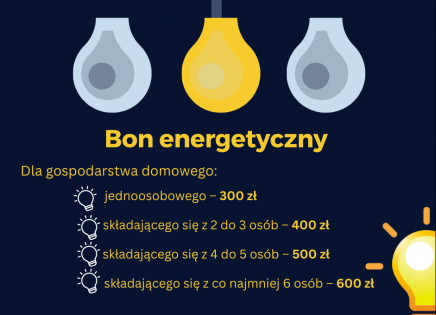 Bon energetyczny - infografika