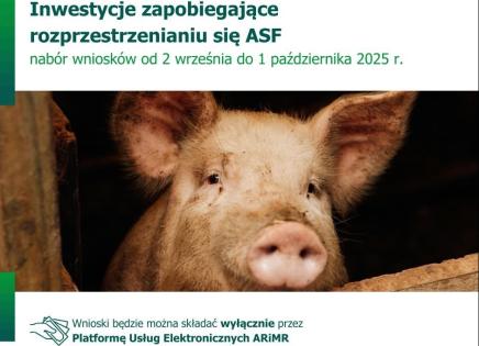 Inwestycje zapobiegające rozprzestrzenianiu się ASF
