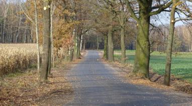 Przebudowa odcinka drogi gminnej w miejscowości Budyń 2016