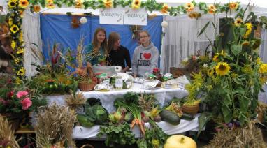 Dożynki Gminne 2010