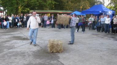 Dożynki Gminne 2010