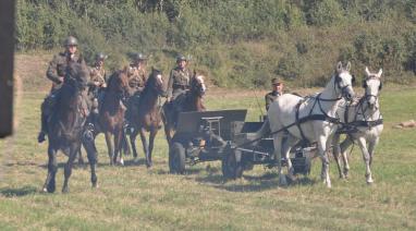 Obchody 72. rocznicy walk pod Bukowcem  2011