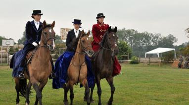 Obchody walk 16. Pułku Ułanów Wielkopolskich 2015