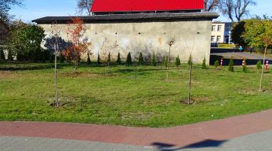 Nasadzenia drzew i krzewów w parku w Bukowcu 2018